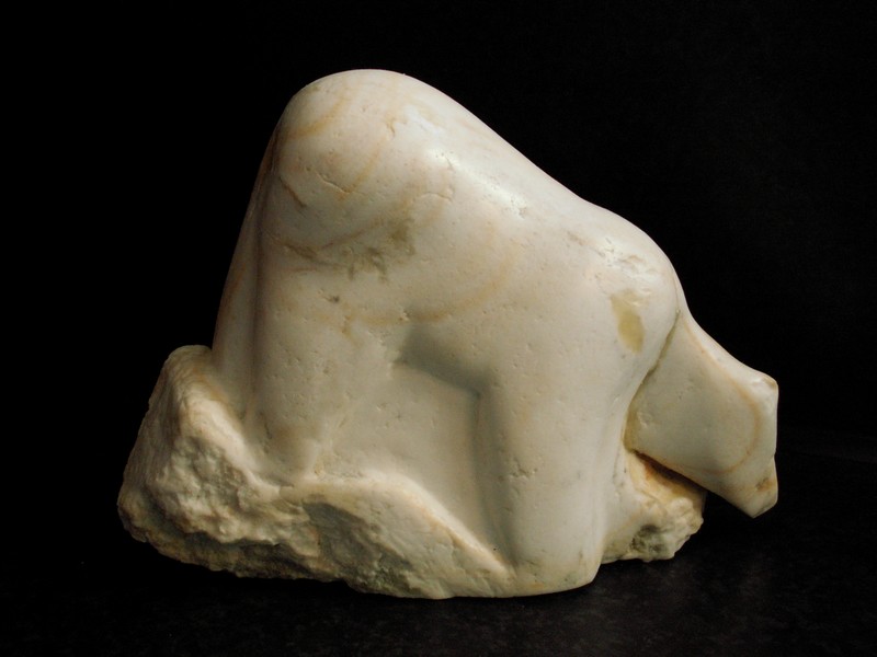 IJsbeer in Vanoise kalksteen